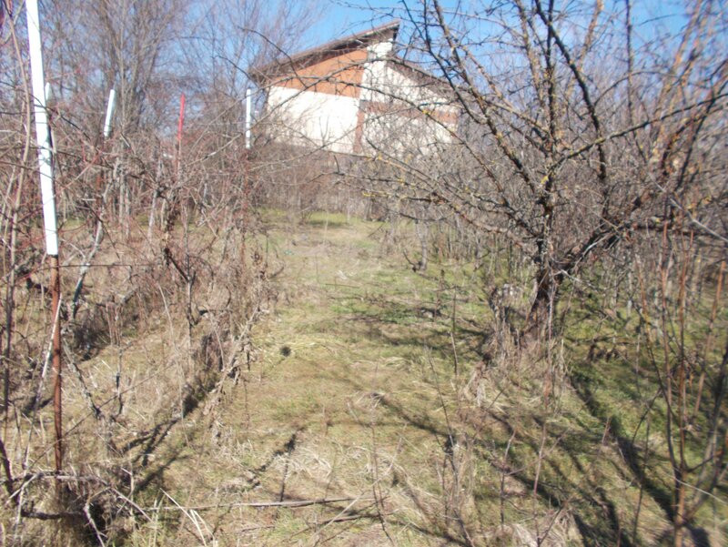 Vanzare Casa,  Clinceni-Ilfov