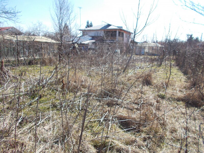 Vanzare Casa,  Clinceni-Ilfov